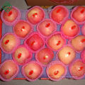 свежее гала-яблоки свежие в мешках Фуджи яблоко